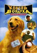 Король воздуха: Седьмая подача (2002) постер