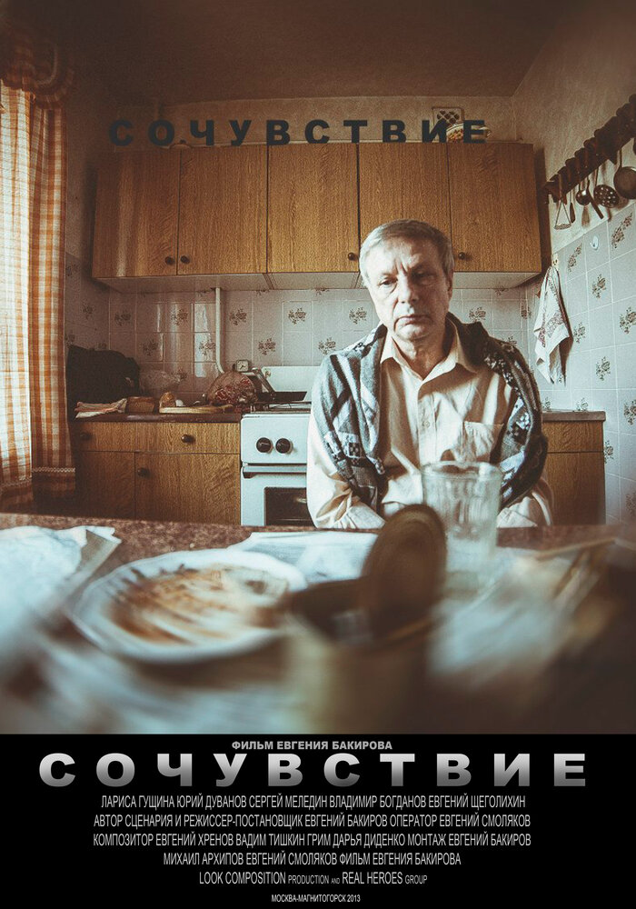 Сочувствие (2013) постер