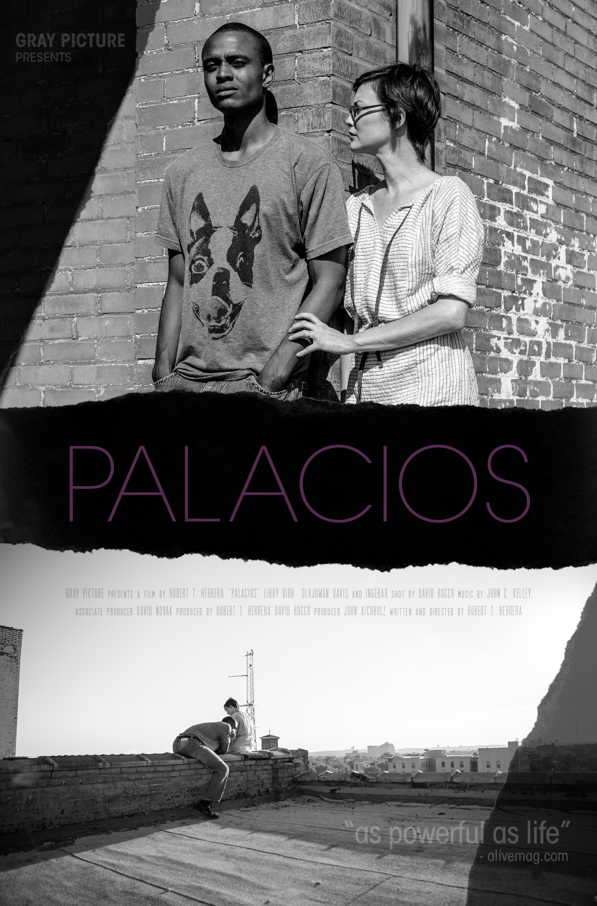 Palacios (2017) постер