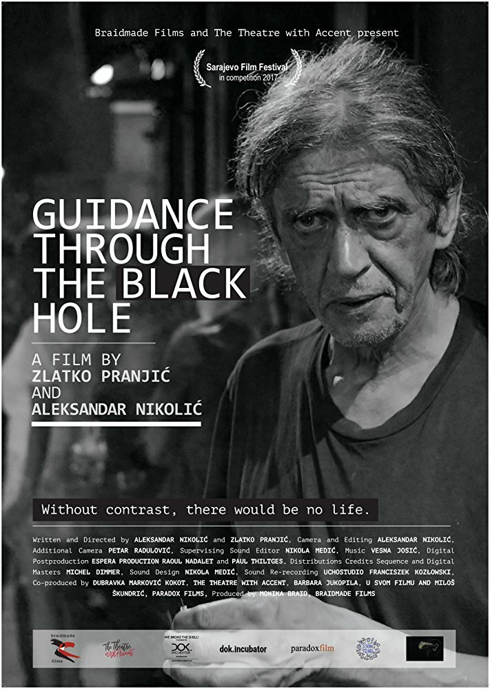 Guidance through the Black Hole (2017) постер